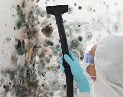 Best Attic Mold Removal  in Nicholson, MS